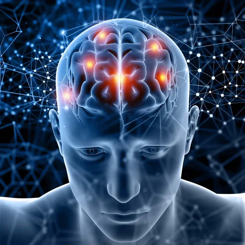 Illustration of neural pathways lighting up, the blood-flow and signalling context for MemoHoney ingredients